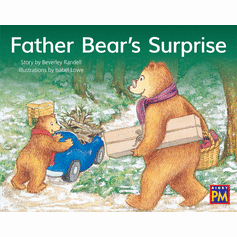Father Bear's Surprise