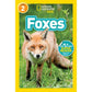 National Geographic Readers: Foxes