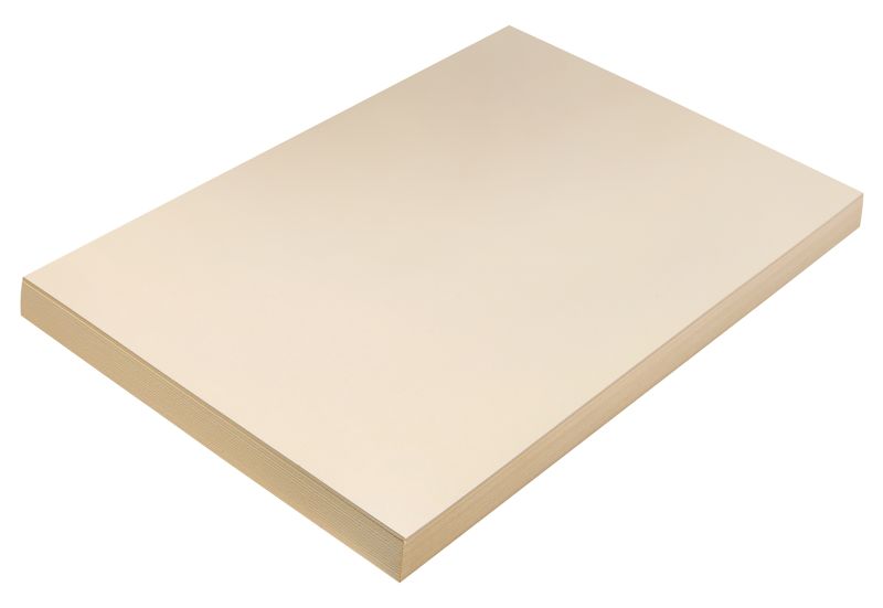 BOARD: Tagboard, 12x18, Manilla or White, 100/pk