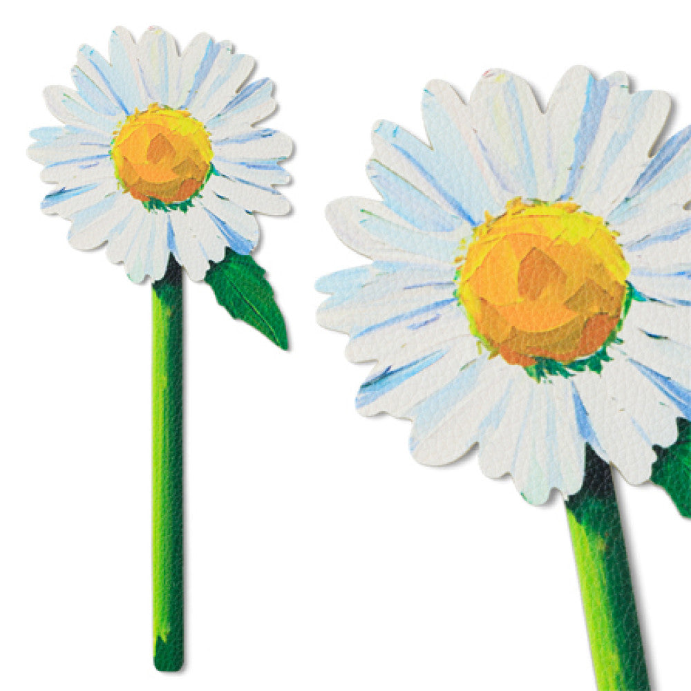 PAINTED DAISY