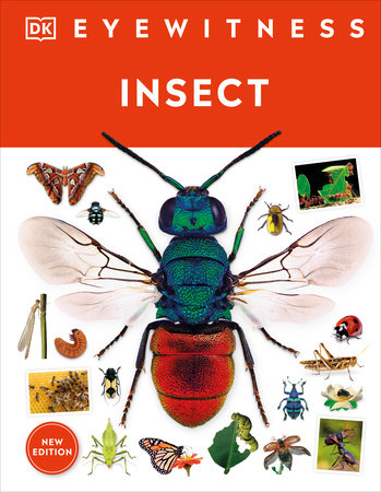 DK Eyewitness: Eyewitness Insect - Hardcover