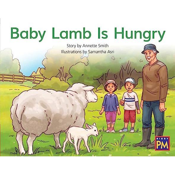 Baby Lamb Is Hungry