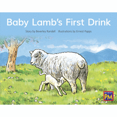 Baby Lamb's First Drink