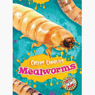 Mealworms