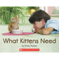 What Kittens Need