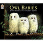 Owl Babies