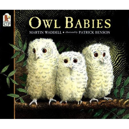 Owl Babies