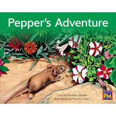 Pepper's Adventure