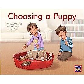 Choosing a Puppy