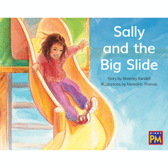 Sally and the Big Slide