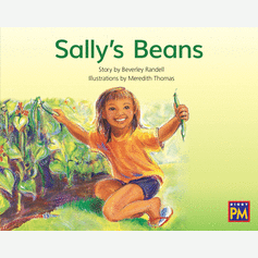 Sally's Beans