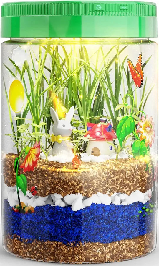 Light -Up Terrarium Kit