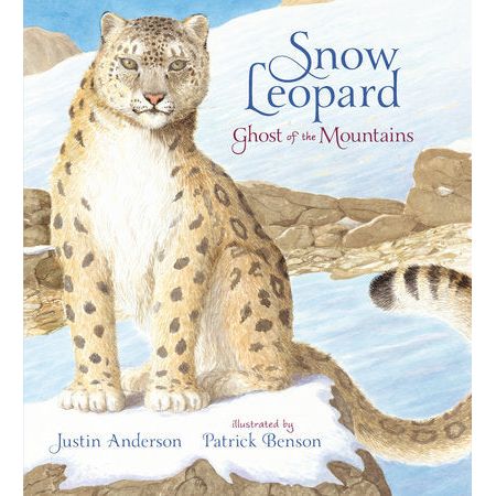 Snow Leopard: Ghost of the Mountains - Hardcover