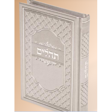 Tehilim Medium 5X7 Silver - Hard Cover