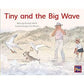 Tiny and the Big Wave