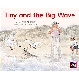 Tiny and the Big Wave