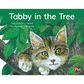 Tabby in the Tree