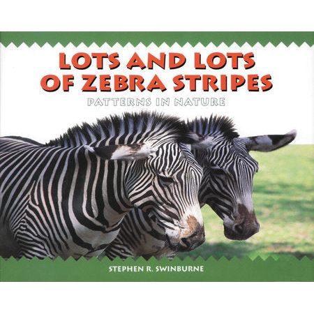 Lots and Lots of Zebra Stripes