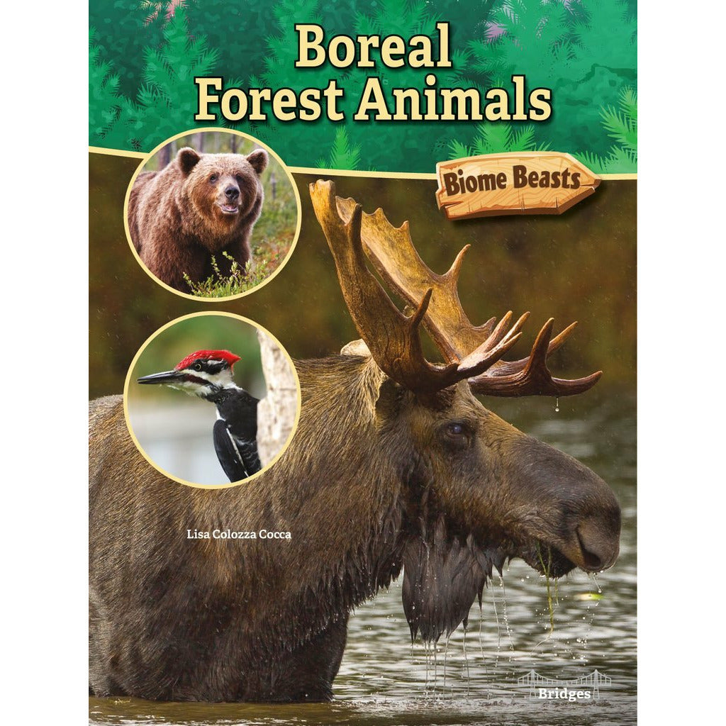 Boreal Forest Animals (Hardback)