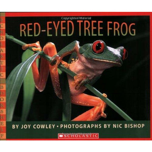 Red Eyed Tree Frog - 9780439782210 - Scholastic - Menucha Classroom Solutions