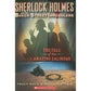 Sherlock Holmes And The Baker Street Irregulars: #1The Fall Of The Amazing Zalindas - 9780545069397 - Scholastic - Menucha Classroom