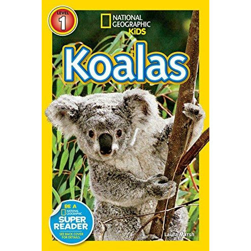 Nat Geo: Koalas - 9781426314667 - Penguin Random House - Menucha Classroom Solutions
