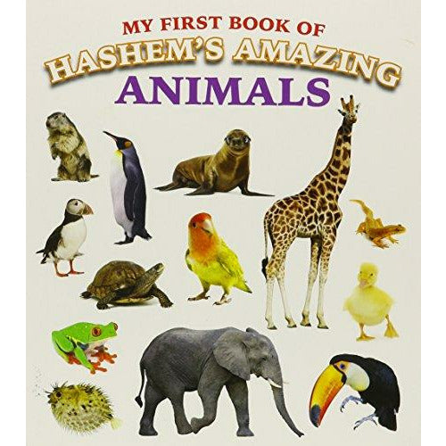 Hashems Amazing Animals - 9781607631668 - Judaica Press - Menucha Classroom Solutions