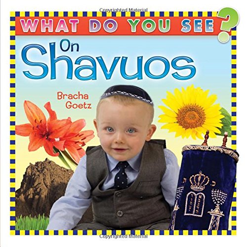 What Do You See On Shavuos - 9781607631897 - Judaica Press - Menucha Classroom Solutions