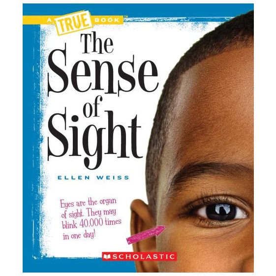Sense of Sight
