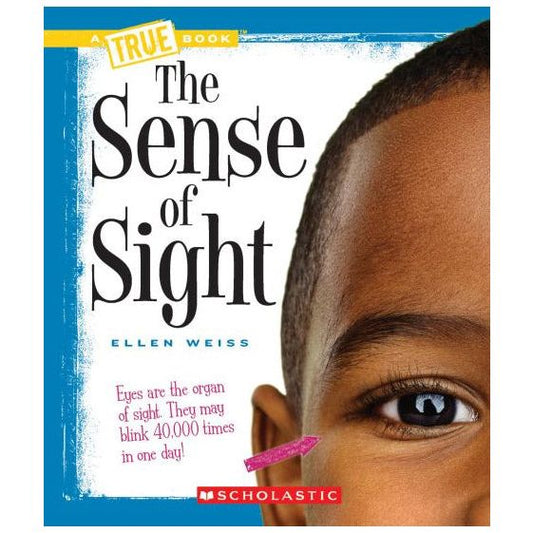 Sense of Sight