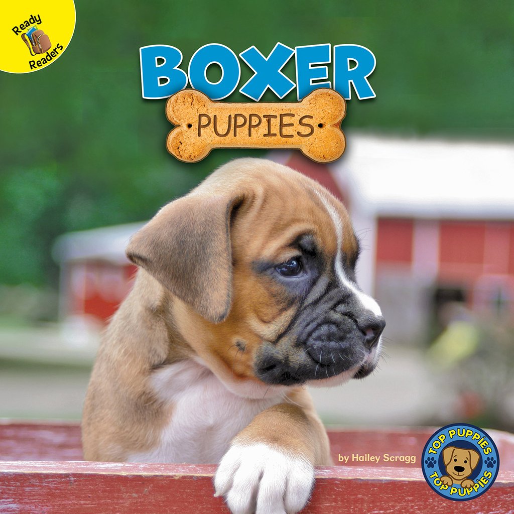 Boxer Puppies