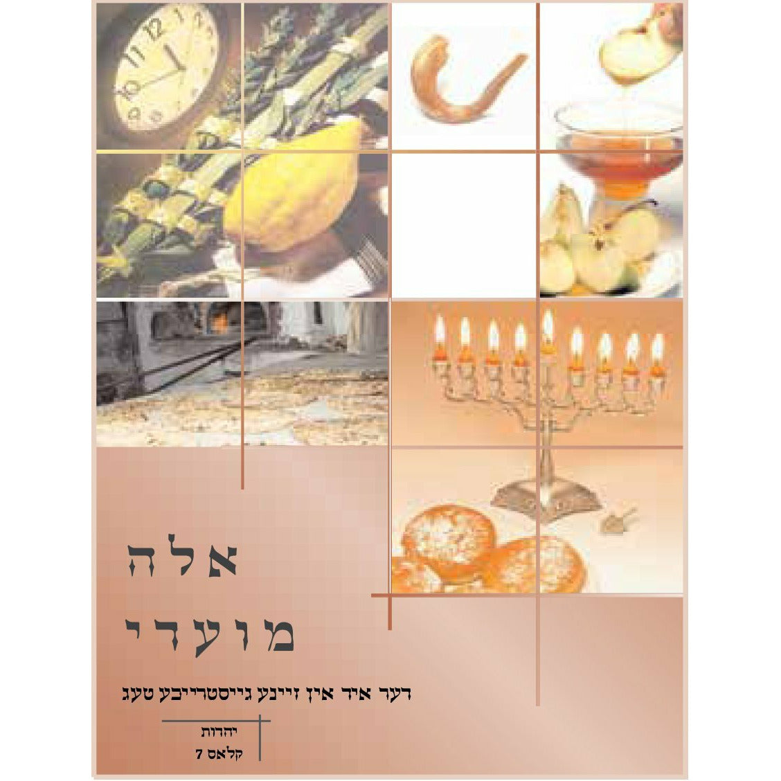 אלה מועדי - [product_SKU] - Menucha Publishers Inc.