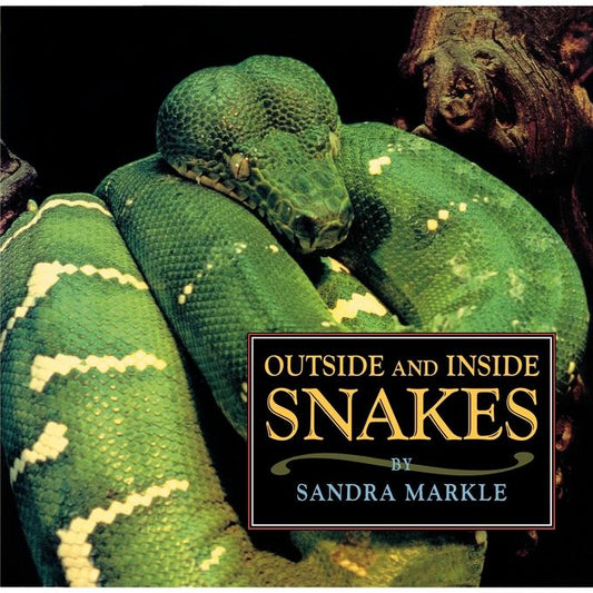 Outside and Inside Snakes