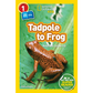 Nat Geo: Tadpole to Frog
