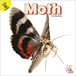 Moth