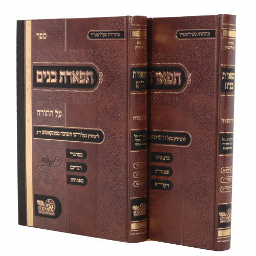 Tiferes Banim - 2 Volume Set