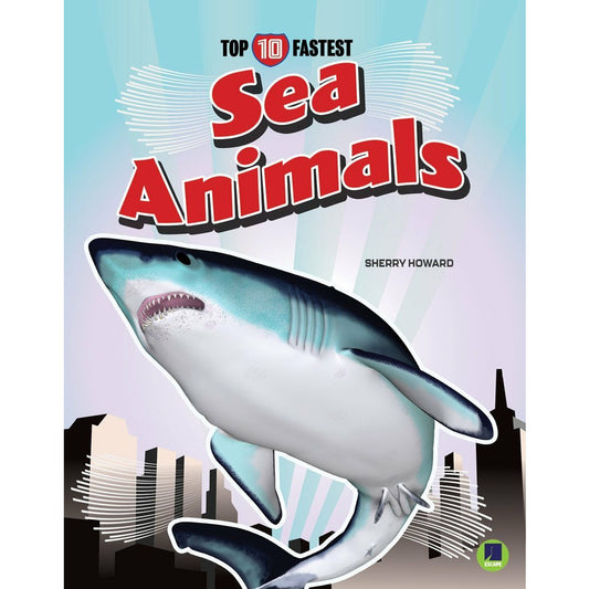 Sea Animals