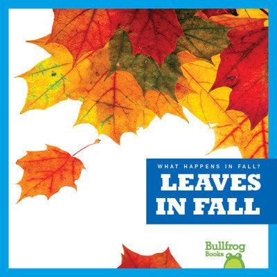 Leaves in Fall ( What Happens in Fall? )