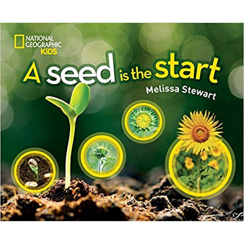 A Seed is the Start