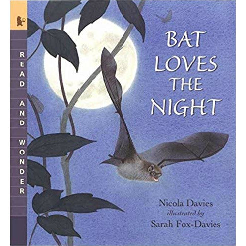 Bat Loves the Night