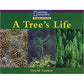 National Geographic: Windows on Literacy: A Tree's Life