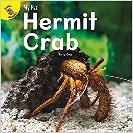 My Pet Hermit Crab