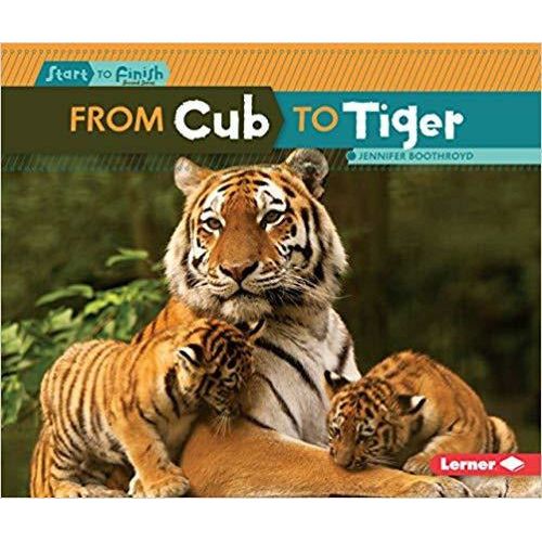 From Cub To Tiger