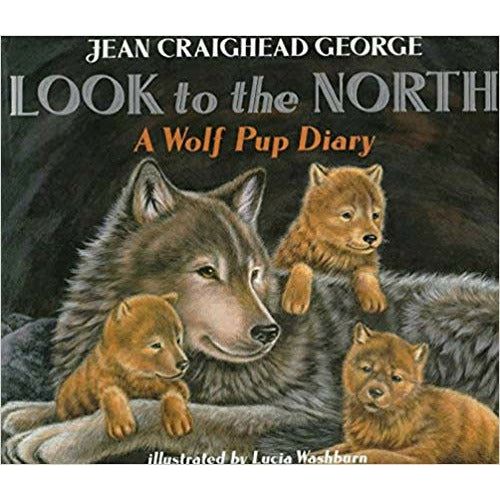 Look to the North