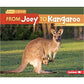 From Joey To Kangaroo