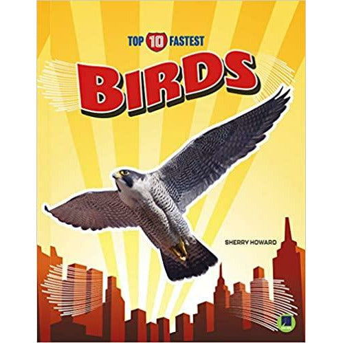 Top Ten: Fastest Birds