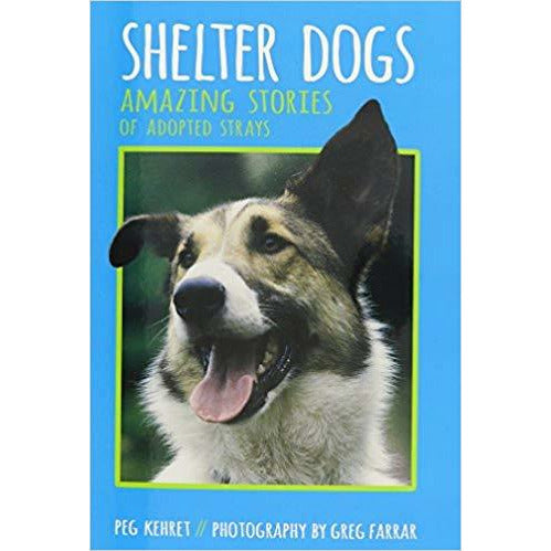 Shelter Dogs Amazing Stories of Adopted Strays