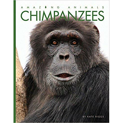 Chimpanzees (Amazing Animals)