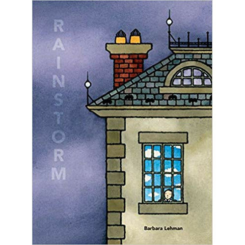 Rainstorm - Hardcover