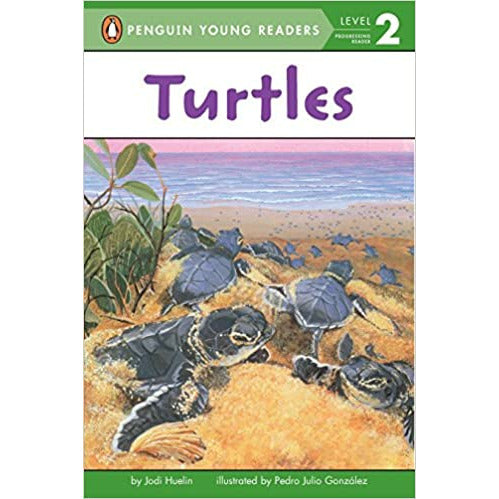 Turtles